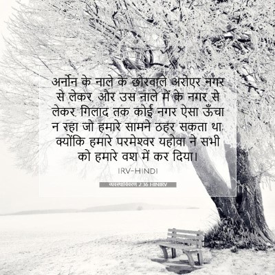Picture 07 - व्यवस्थाविवरण 2:36 HINIRV - अर्नोन के नाले के - Bible Verse Picture