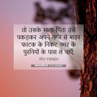 Picture 07 - व्यवस्थाविवरण 21:19 HINIRV - तो उसके माता-पिता - Bible Verse Picture