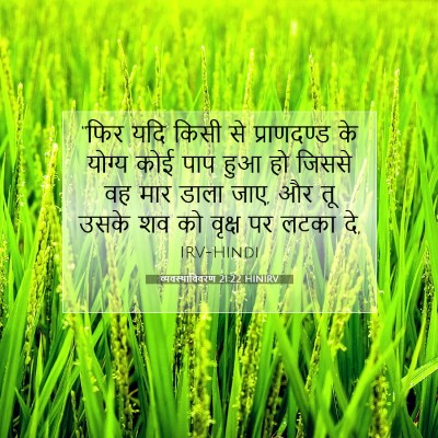 Picture 07 - व्यवस्थाविवरण 21:22 HINIRV - “फिर यदि किसी से - Bible Verse Picture
