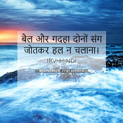 Picture 07 - व्यवस्थाविवरण 22:10 HINIRV - बैल और गदहा दोनों - Bible Verse Picture