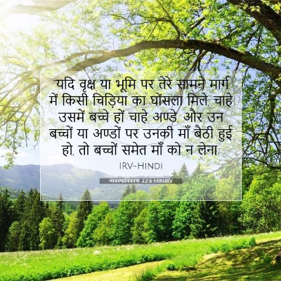 Picture 07 - व्यवस्थाविवरण 22:6 HINIRV - “यदि वृक्ष या भूमि - Bible Verse Picture