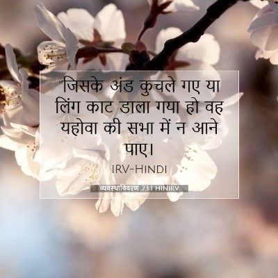 Picture 07 - व्यवस्थाविवरण 23:1 HINIRV - “जिसके अंड कुचले - Bible Verse Picture
