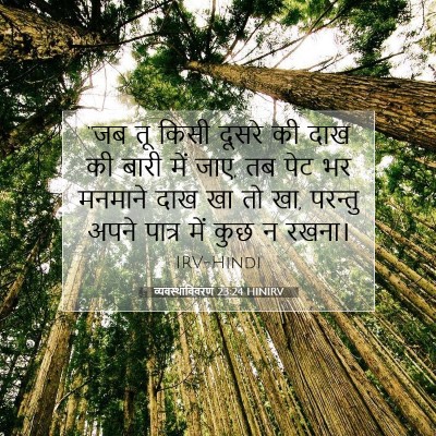 Picture 07 - व्यवस्थाविवरण 23:24 HINIRV - “जब तू किसी दूसरे - Bible Verse Picture