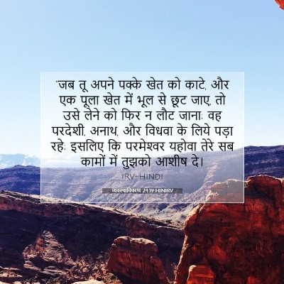 Picture 07 - व्यवस्थाविवरण 24:19 HINIRV - “जब तू अपने पक्के - Bible Verse Picture