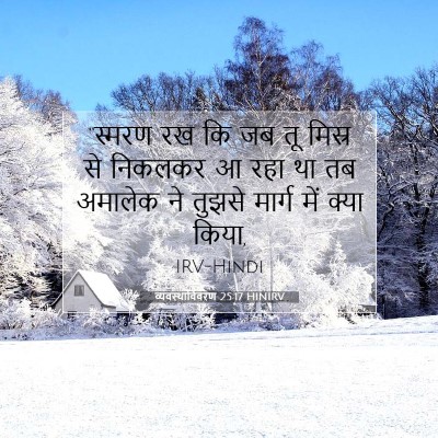 Picture 07 - व्यवस्थाविवरण 25:17 HINIRV - “स्मरण रख कि जब तू - Bible Verse Picture