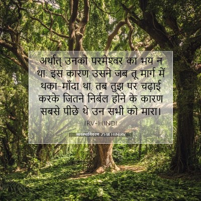 Picture 07 - व्यवस्थाविवरण 25:18 HINIRV - अर्थात् उनको - Bible Verse Picture