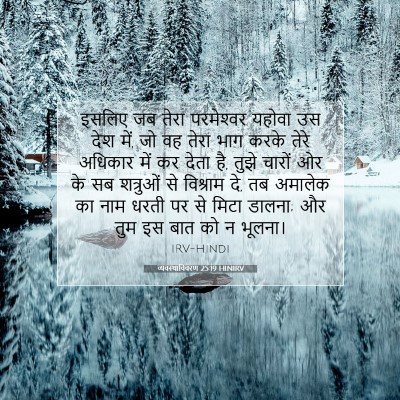Picture 07 - व्यवस्थाविवरण 25:19 HINIRV - इसलिए जब तेरा - Bible Verse Picture