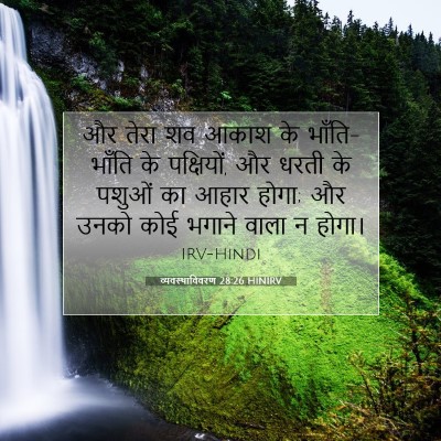 Picture 07 - व्यवस्थाविवरण 28:26 HINIRV - और तेरा शव आकाश के - Bible Verse Picture