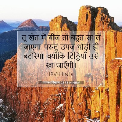 Picture 07 - व्यवस्थाविवरण 28:38 HINIRV - तू खेत में बीज तो - Bible Verse Picture
