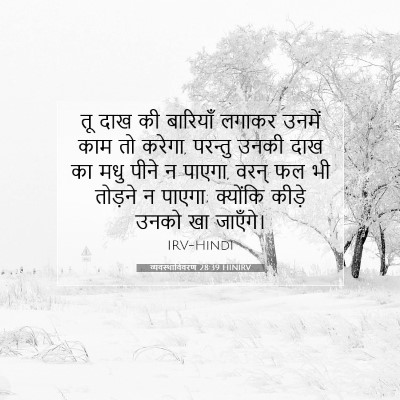 Picture 07 - व्यवस्थाविवरण 28:39 HINIRV - तू दाख की बारियाँ - Bible Verse Picture