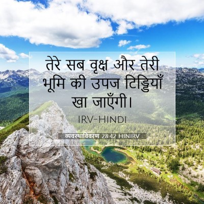 Picture 07 - व्यवस्थाविवरण 28:42 HINIRV - तेरे सब वृक्ष और - Bible Verse Picture