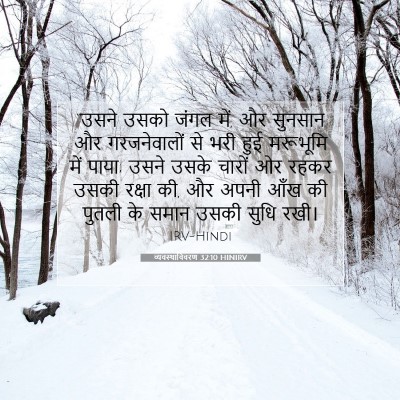 Picture 07 - व्यवस्थाविवरण 32:10 HINIRV - “उसने उसको जंगल - Bible Verse Picture