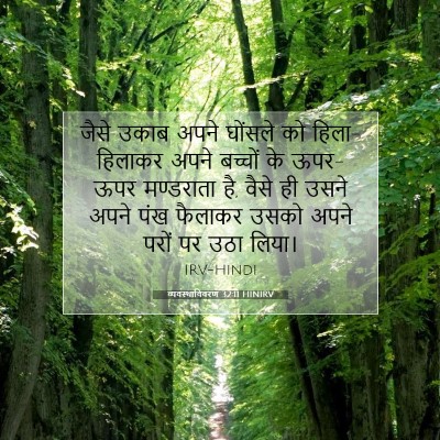 Picture 07 - व्यवस्थाविवरण 32:11 HINIRV - जैसे उकाब अपने - Bible Verse Picture