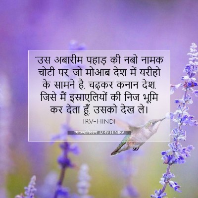 Picture 07 - व्यवस्थाविवरण 32:49 HINIRV - “उस अबारीम पहाड़ - Bible Verse Picture