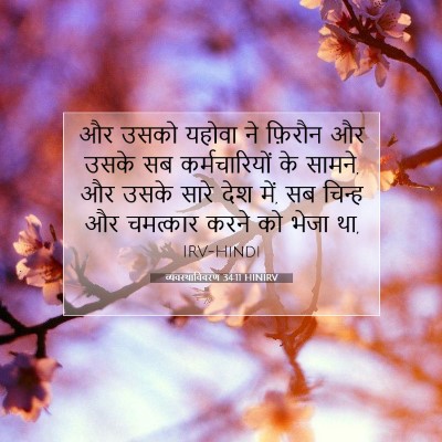 Picture 07 - व्यवस्थाविवरण 34:11 HINIRV - और उसको यहोवा ने - Bible Verse Picture