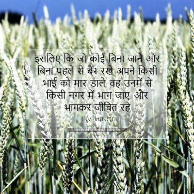 Picture 07 - व्यवस्थाविवरण 4:42 HINIRV - इसलिए कि जो कोई - Bible Verse Picture