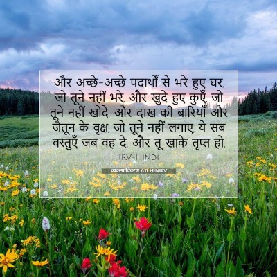 Picture 07 - व्यवस्थाविवरण 6:11 HINIRV - और अच्छे-अच्छे - Bible Verse Picture