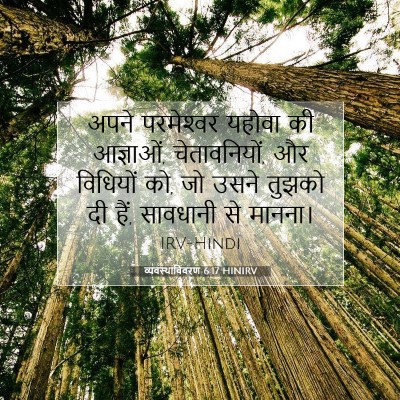 Picture 07 - व्यवस्थाविवरण 6:17 HINIRV - अपने परमेश्‍वर - Bible Verse Picture