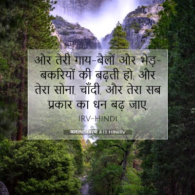 Picture 07 - व्यवस्थाविवरण 8:13 HINIRV - और तेरी गाय-बैलों - Bible Verse Picture