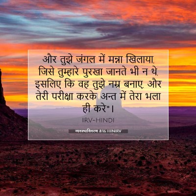 Picture 07 - व्यवस्थाविवरण 8:16 HINIRV - और तुझे जंगल में - Bible Verse Picture