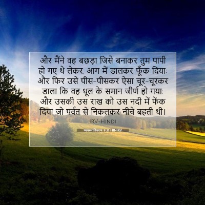 Picture 07 - व्यवस्थाविवरण 9:21 HINIRV - और मैंने वह बछड़ा - Bible Verse Picture