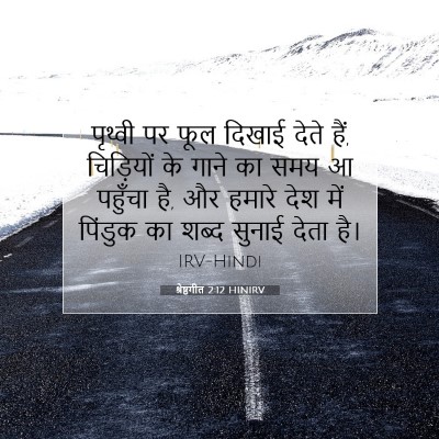 Picture 07 - श्रेष्ठगीत 2:12 HINIRV - पृथ्वी पर फूल - Bible Verse Picture
