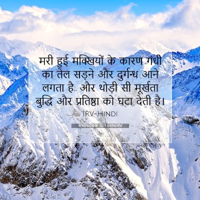 Picture 07 - सभोपदेशक 10:1 HINIRV - मरी हुई मक्खियों - Bible Verse Picture