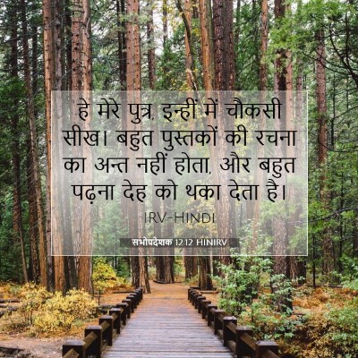Picture 07 - सभोपदेशक 12:12 HINIRV - हे मेरे पुत्र, - Bible Verse Picture