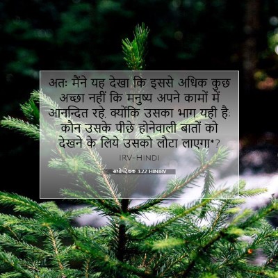 Picture 07 - सभोपदेशक 3:22 HINIRV - अतः मैंने यह देखा - Bible Verse Picture
