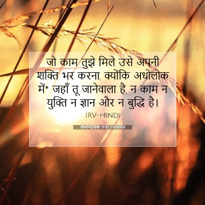 Picture 07 - सभोपदेशक 9:10 HINIRV - जो काम तुझे मिले - Bible Verse Picture