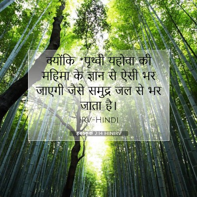 Picture 07 - हबक्कूक 2:14 HINIRV - क्योंकि *पृथ्वी - Bible Verse Picture