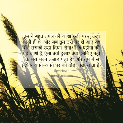 Picture 07 - हाग्गै 1:9 HINIRV - तुम ने बहुत उपज की - Bible Verse Picture