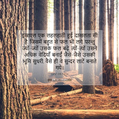 Picture 07 - होशे 10:1 HINIRV - इस्राएल एक - Bible Verse Picture