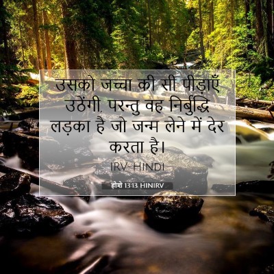 Picture 07 - होशे 13:13 HINIRV - उसको जच्चा की सी - Bible Verse Picture