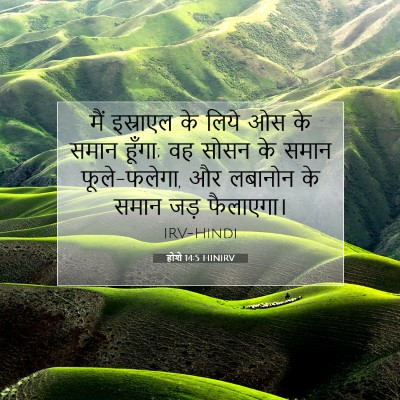 Picture 07 - होशे 14:5 HINIRV - मैं इस्राएल के - Bible Verse Picture
