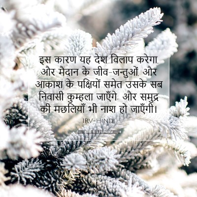 Picture 07 - होशे 4:3 HINIRV - इस कारण यह देश - Bible Verse Picture