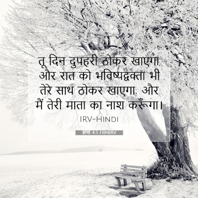 Picture 07 - होशे 4:5 HINIRV - तू दिन दुपहरी ठोकर - Bible Verse Picture