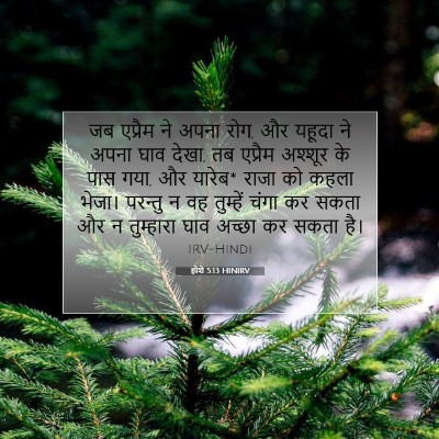 Picture 07 - होशे 5:13 HINIRV - जब एप्रैम ने अपना - Bible Verse Picture