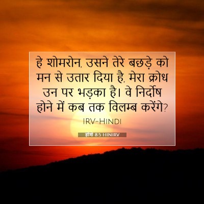 Picture 07 - होशे 8:5 HINIRV - हे शोमरोन, उसने - Bible Verse Picture