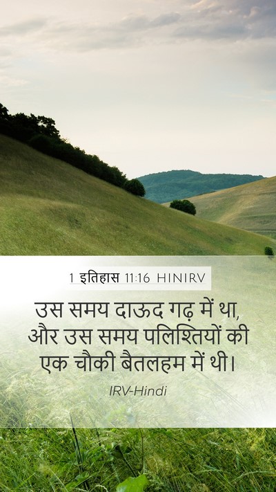 1 इतिहास 11:16 HINIRV Bible Verse Image