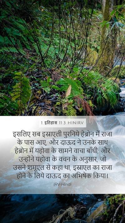 1 इतिहास 11:3 HINIRV Bible Verse Image