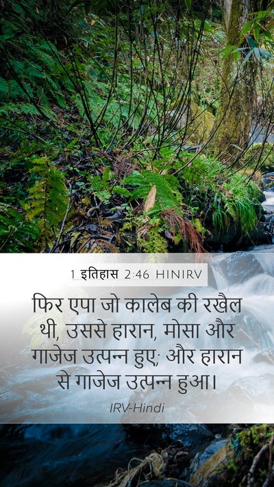 1 इतिहास 2:46 HINIRV Bible Verse Image