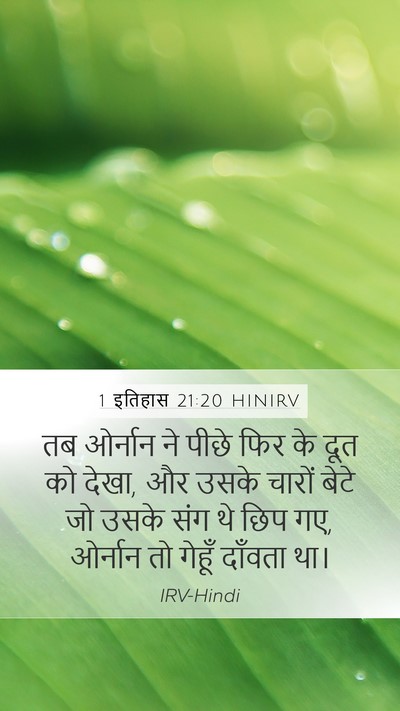 1 इतिहास 21:20 HINIRV Bible Verse Image