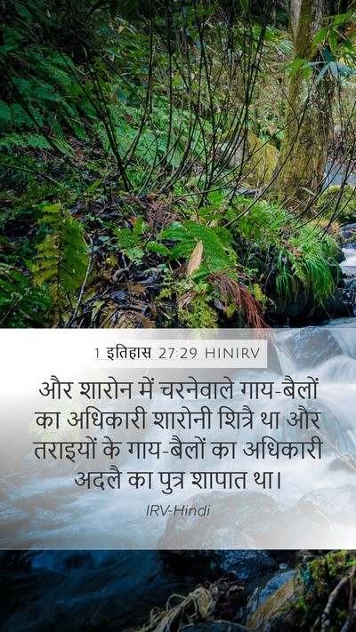 1 इतिहास 27:29 HINIRV Bible Verse Image