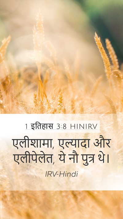1 इतिहास 3:8 HINIRV Bible Verse Image