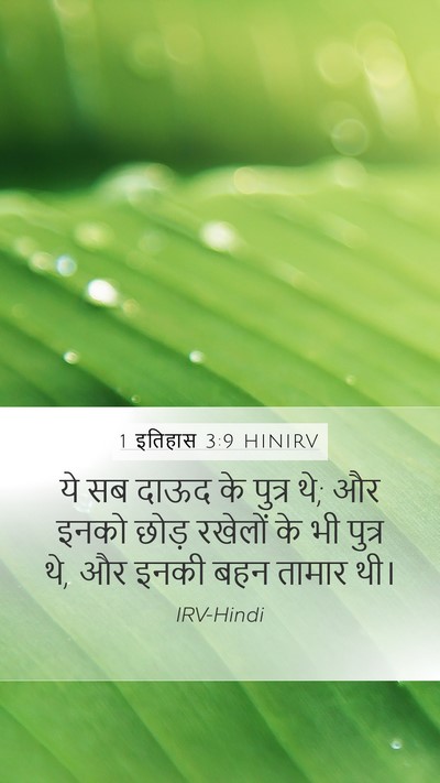 1 इतिहास 3:9 HINIRV Bible Verse Image