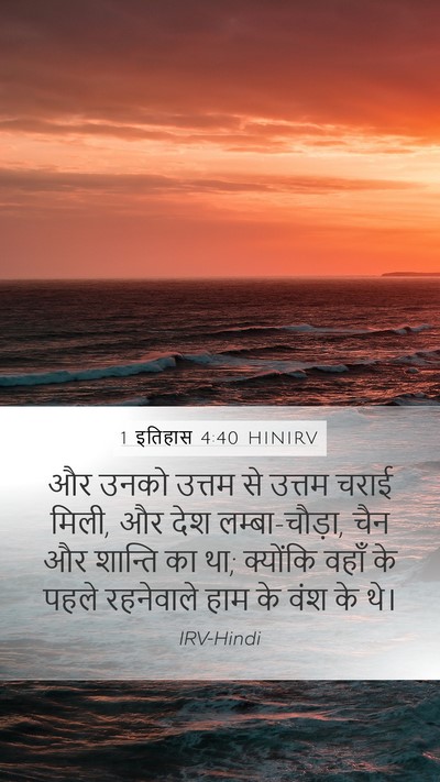 1 इतिहास 4:40 HINIRV Bible Verse Image