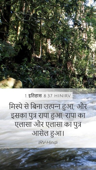 1 इतिहास 8:37 HINIRV Bible Verse Image