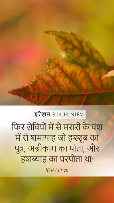 1 इतिहास 9:14 HINIRV Bible Verse Image