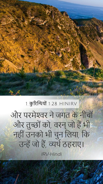 1 कुरिन्थियों 1:28 HINIRV Bible Verse Image